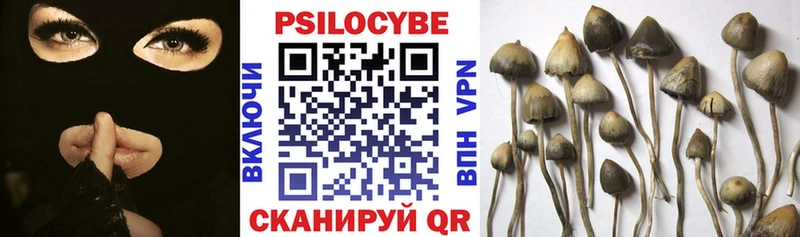 Псилоцибиновые грибы прущие грибы  дарнет шоп  Комсомольск 
